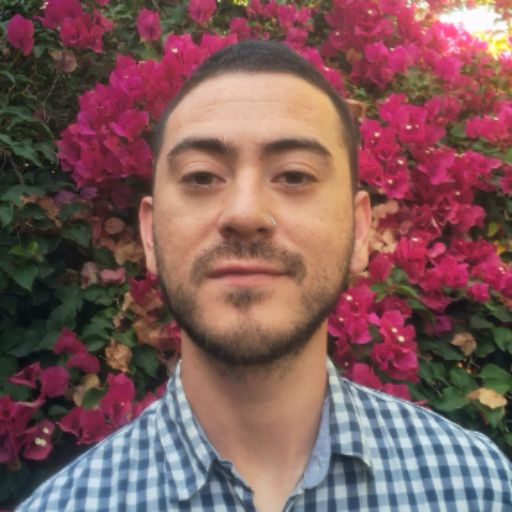 Psicólogo online