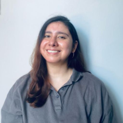 Psicólogo online