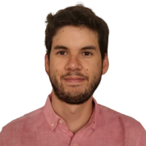 Psicólogo online