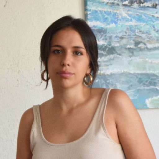 Psicólogo presencial y online