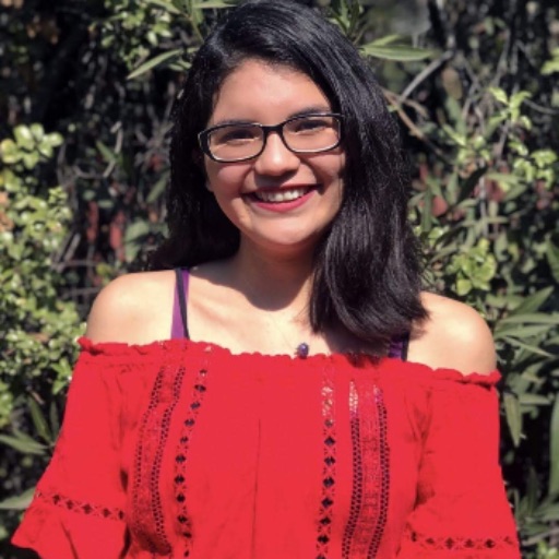 Psicólogo online