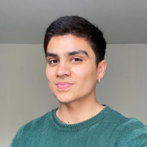 Psicólogo online