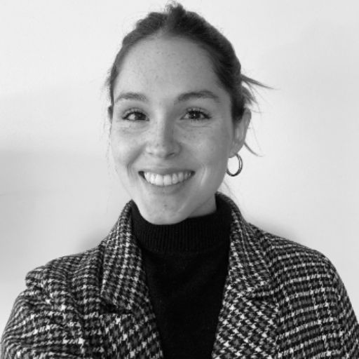 Psicólogo online