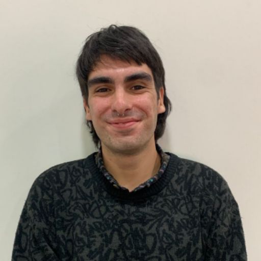 Psicólogo online