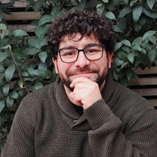 Psicólogo online