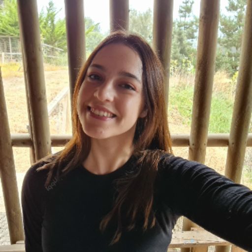 Psicólogo online