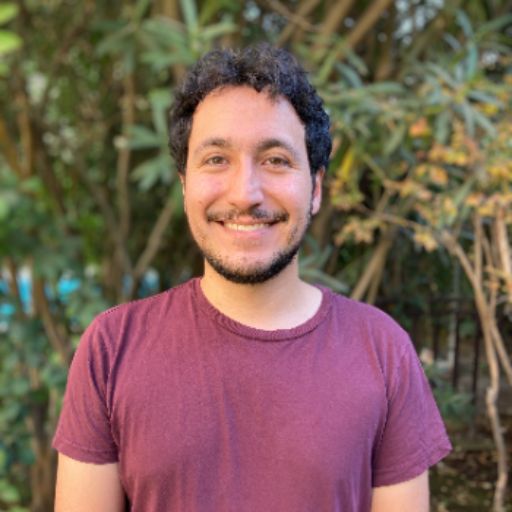 Psicólogo online