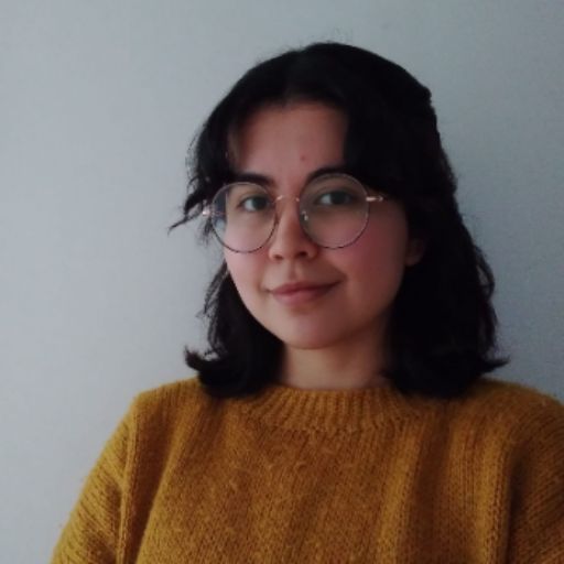 Psicólogo online